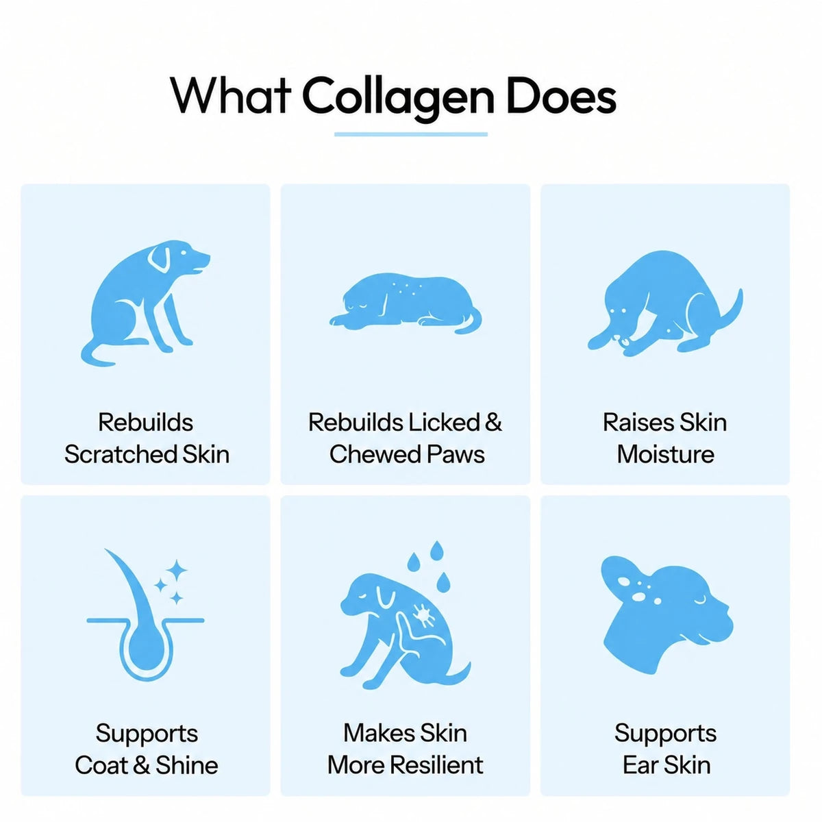 What collagen does