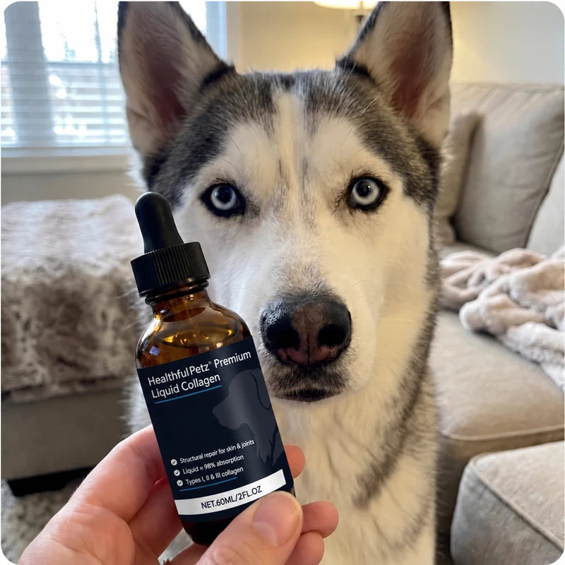 Husky with a HealthfulPetz liquid collagen bottle