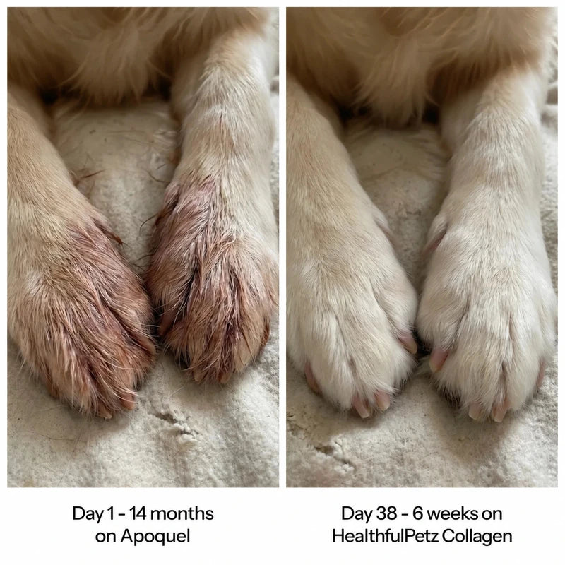 Before and after paws