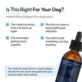 Is this right for your dog?