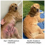 Before and after skin